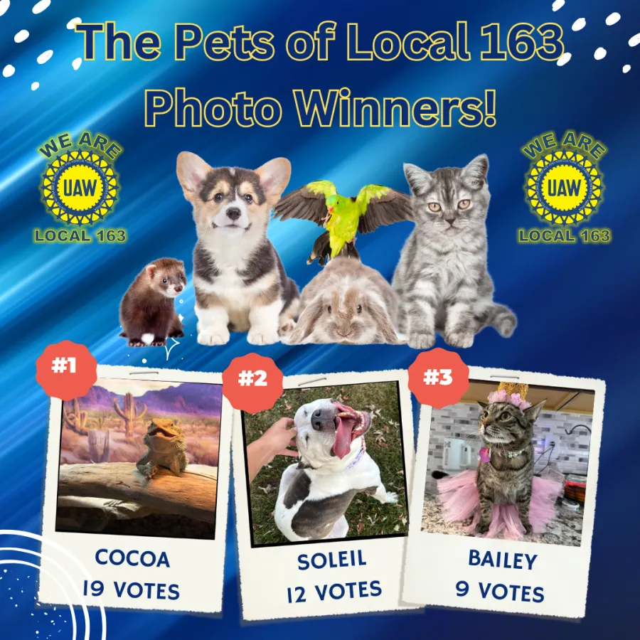 UAW Local 163 Pets of Local 163 Pet Photo Contest